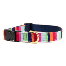 A Tail We Could Wag Side-Release Dog Collar: Harborside Twilight / Medium - 14"-20"