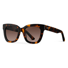 Stormi - Square Chunky Polarized Sunglasses: Crystal Chestnut Brown / Brown Lens 1077BRWBRW