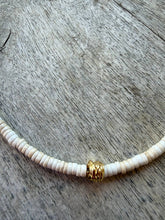 Daffodil : Gold Barrel