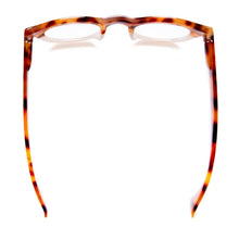 TAYLOR | Amber Tortoise | Ivory | Blue Light: 3.00