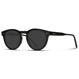 Tate - Round Polarized Sunglasses: Light Crystal Brown / Brown Lens 1039BRWBRW
