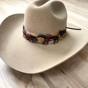 Western Feather Vistoso II Hat Band