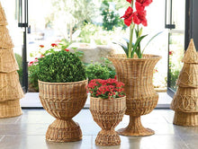 Rattan Pedestal Basket - XL 22"