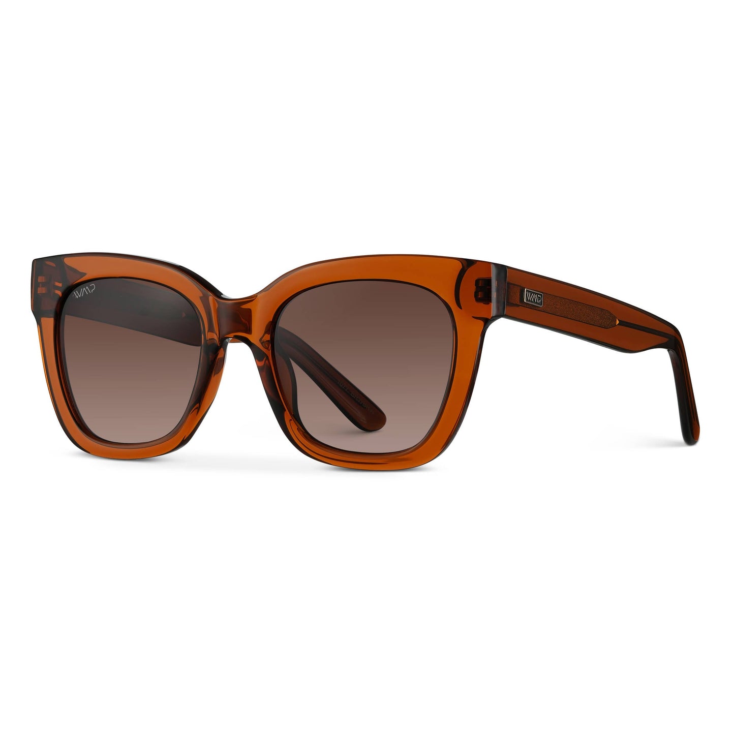 Stormi - Square Chunky Polarized Sunglasses: Crystal Chestnut Brown / Brown Lens 1077BRWBRW