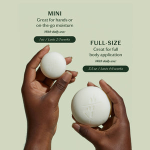 The Essential Collection Mini Sampler Set