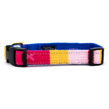 A Tail We Could Wag Side-Release Dog Collar: Starry Day Mango / Small - 11" - 15"