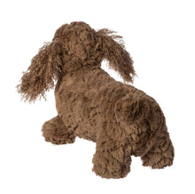 Putty Dexter Dachshund