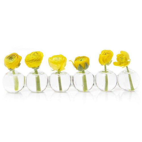 Caterpillar Bud Vase - Small