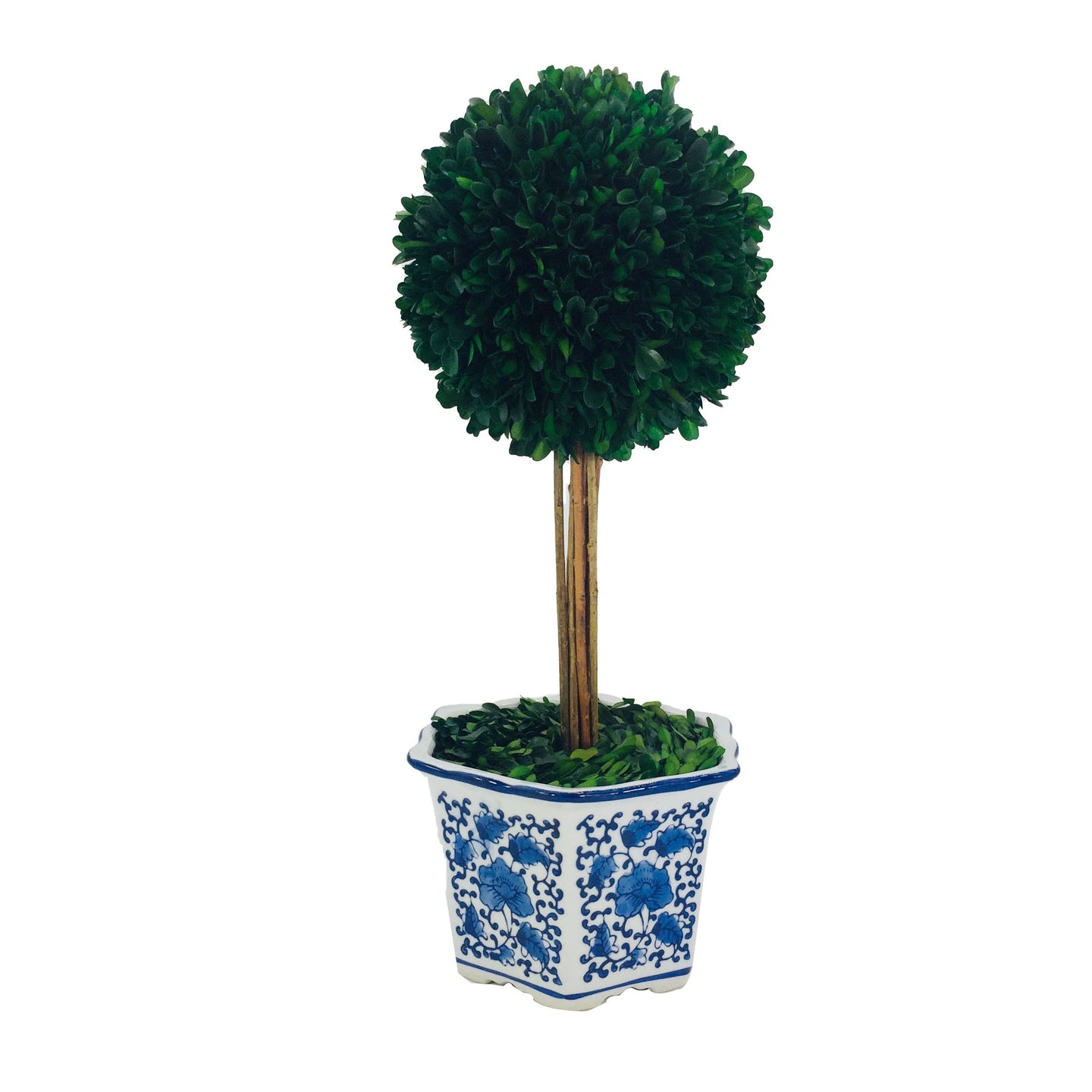 Boxwood Ball Topiary Tree in Ceramic Pot Large