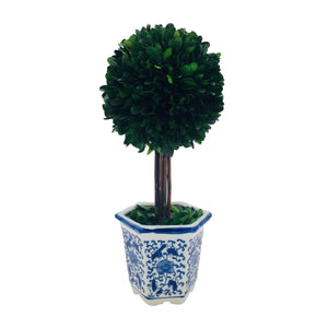 Boxwood Ball Topiary Tree in Ceramic Pot Small